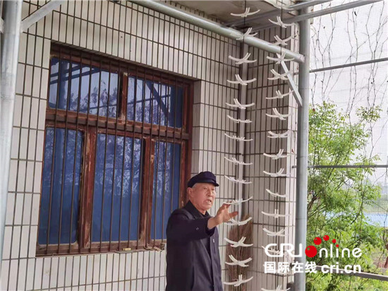 ���Ї�(gu��)�мs�����ʡ��ƽ�h���ɡ������I(y��)�l(f��)����ؔ(c��i)  ���O(sh��)�����l(xi��ng)��_fororder_2