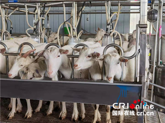 ���Ї�(gu��)�мs�����ʡ��ƽ�h���ɡ������I(y��)�l(f��)����ؔ(c��i)  ���O(sh��)�����l(xi��ng)��_fororder_5