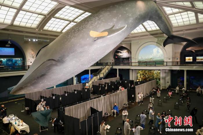 �Y�ψD����(d��ng)?sh��)ؕr(sh��)�g4��23�գ�λ�ڼ~�s������(gu��)��Ȼ�vʷ�����^�_(k��i)���נ�˹̹���������d���¹�����ӷN�c(di��n)����18�q���ϵļ~�s����ӷN�¹�������ԓ�^��(bi��o)־�Եĵ��{(l��n)�Lģ�ͱ��N���˾��̈́�(chu��ng)���N���Ą�(l��)��ǰ��(l��i)�ӷN���硣 <a target='_blank' ><p  align=