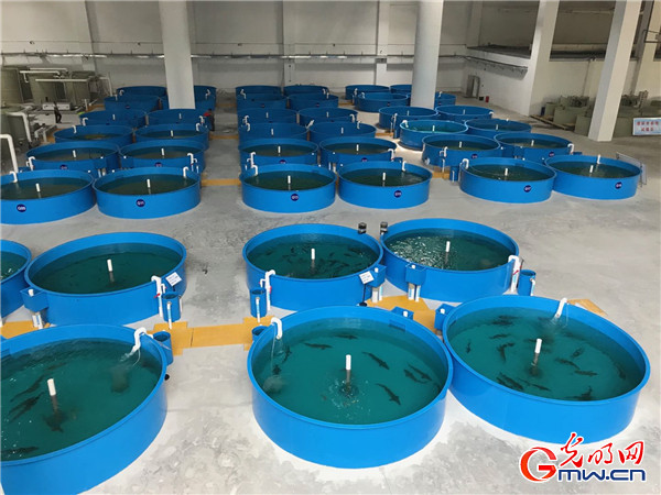 ����(qi��ng)���Ј� ���|(zh��)���l(f��)չ�����󡿰l(f��)��������������������в������D(zhu��n)�Ͱl(f��)չ�M(j��n)�Еr