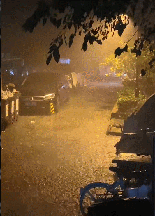 12���賿�����������Ĕz��