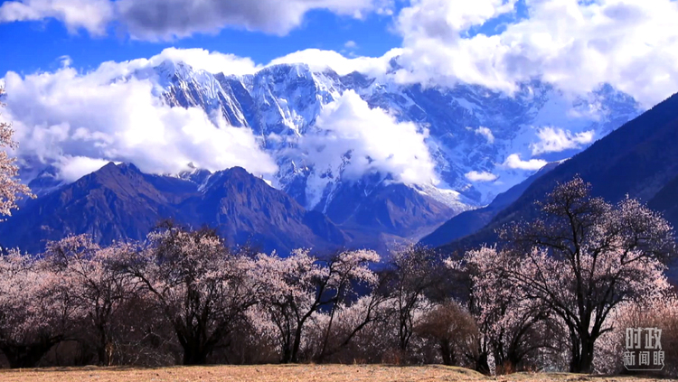 �r������ح����ӛ����֮�����@Щ��(x��)��(ji��)ӳ������