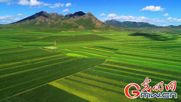 ������׃��ˇ�g(sh��)Ʒ �a(ch��n)�I(y��)���d��(w��n)Óؚ����ؚ