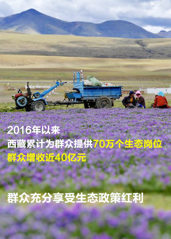 ������(b��o)��һ�M��(sh��)�֣������Gɫ���ء������B(t��i)�ֵ