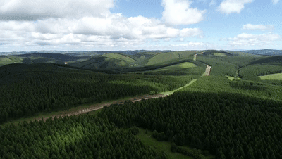 時政新聞眼丨從三組關(guān)鍵詞看習(xí)近平總書記承德之行