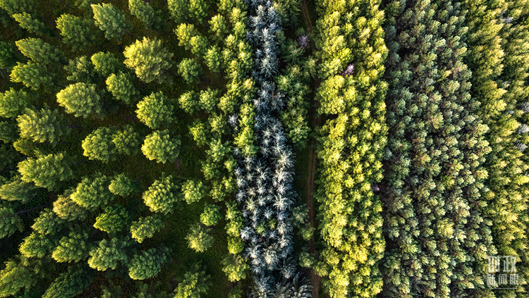 時政新聞眼丨從三組關(guān)鍵詞看習(xí)近平總書記承德之行
