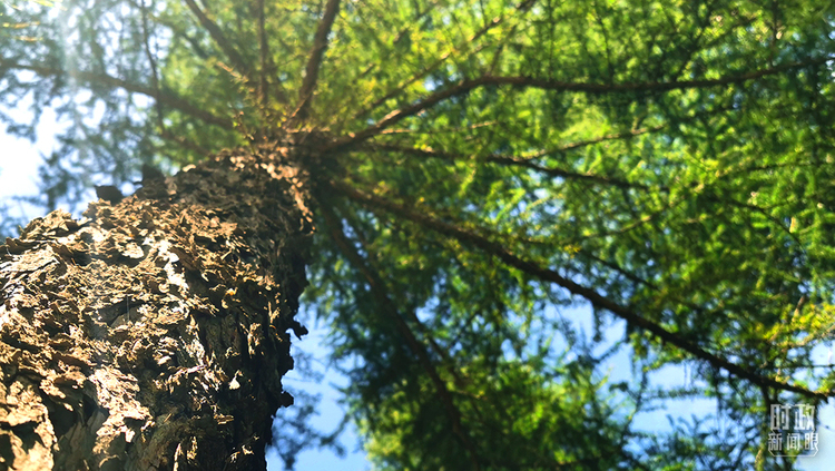 �r(sh��)������ح��(x��)��ƽ����е����@�ľ�Ԓ��������