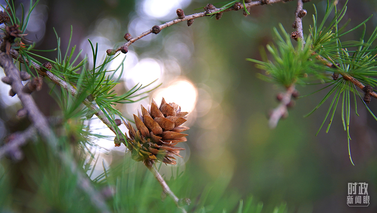 �r(sh��)������ح��(x��)��ƽ����е£��@�ľ�Ԓ��������