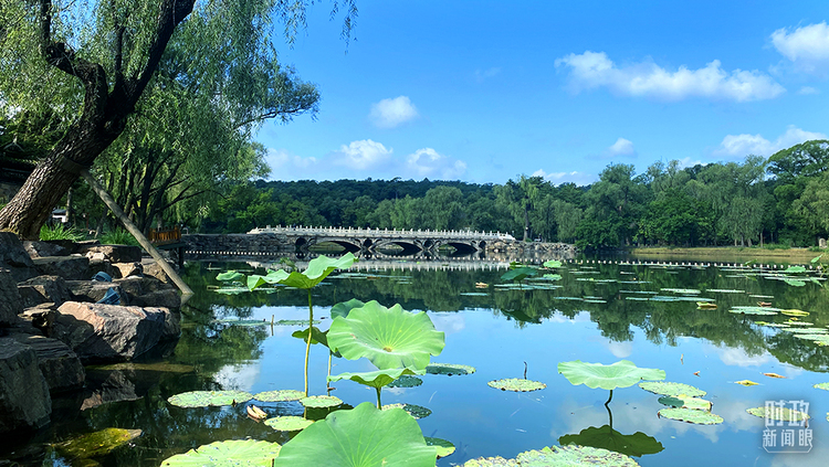 �r(sh��)������ح��(x��)��ƽ����е����@�ľ�Ԓ��������