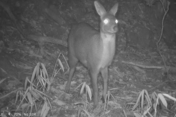 2021��8��25���Ĕz��������ĸ��Ӱ���������h��ý�w���Ĺ��D