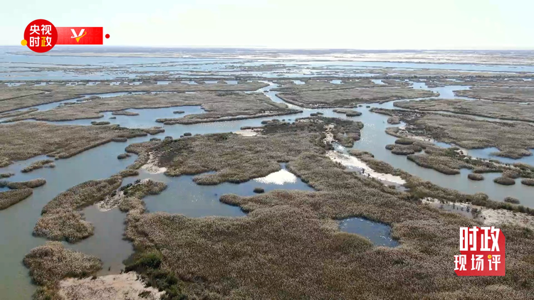 �r���F(xi��n)���uح���S����ӛ���_�� ���뺣�ڿ�����S�ӵľG�c�H��