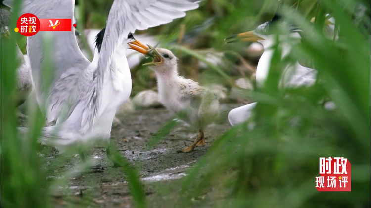 �r���F(xi��n)���uح���S����ӛ���_�� ������ڿ�����S�ӵľG�c�H��