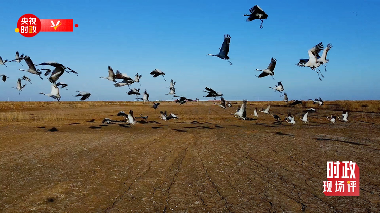 �r���F(xi��n)���uح���S����ӛ���_�� ���뺣�ڿ�����S�ӵľG�c�H��