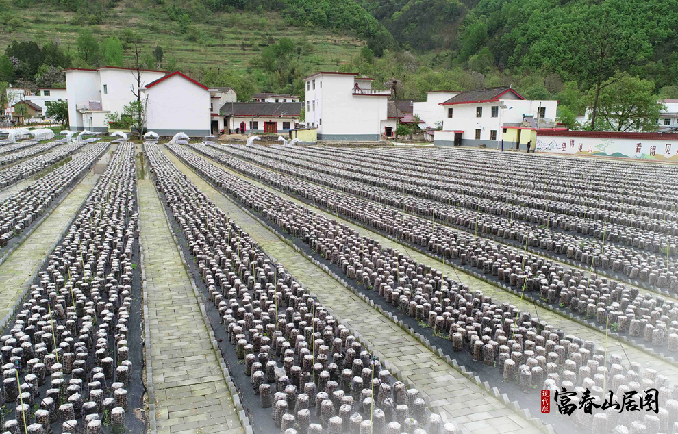 �@��2020��4��21���Ĕz����ˮ�hС�X�(zh��n)���״�ĵ���ľ�����o�˙C��Ƭ����