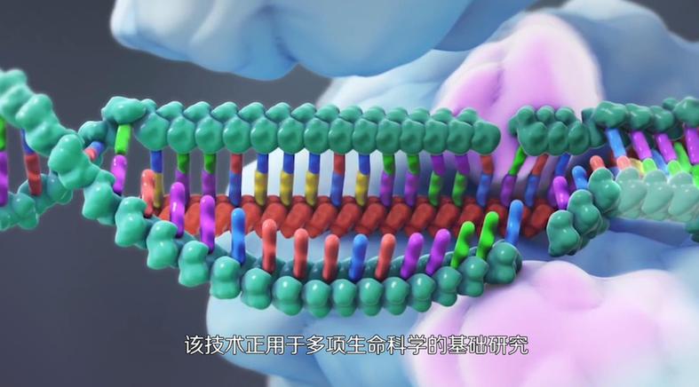 【曬曬咱的國之重器10】短視頻丨基因編輯的精準(zhǔn)“剪刀”