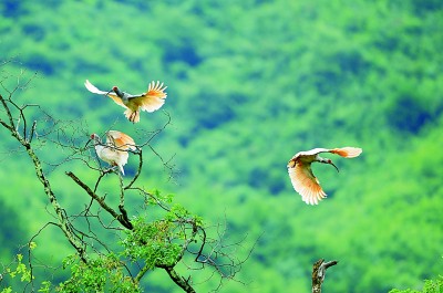 ����؈���ҹ��@�c������ϡҰ����ֲ���������