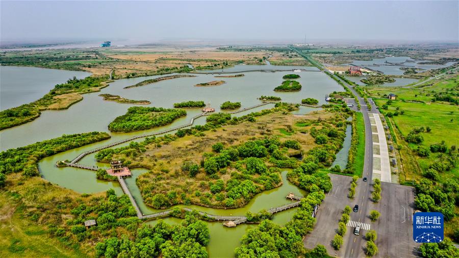 �����Aȫý�^�l���D�Ļ��ӣ���3����׌�҂�һ����δ���������� ��(x��)��ƽ��ϯ2022�������R�~