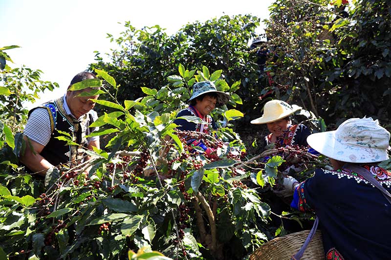 �������ڲ�ժ��������ƽ�z