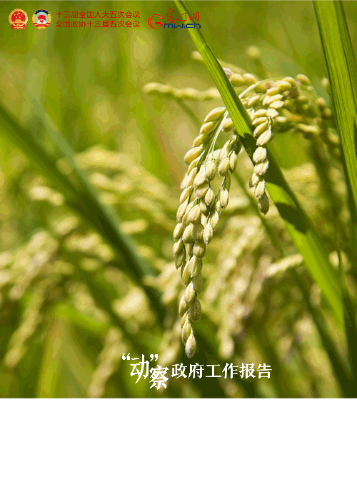 �����ӡ�������������桿2022���@ЩĿ�˴��ˊ^�M��