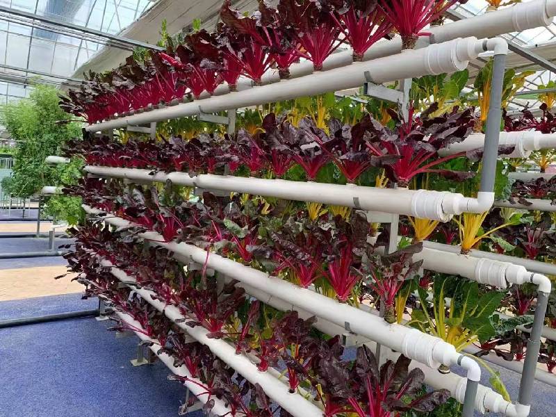 ��(sh��)���l(xi��ng)��֪��Փحȫ���˴�������ϼ����(sh��)�ֻ��(q��)���l(xi��ng)�����d