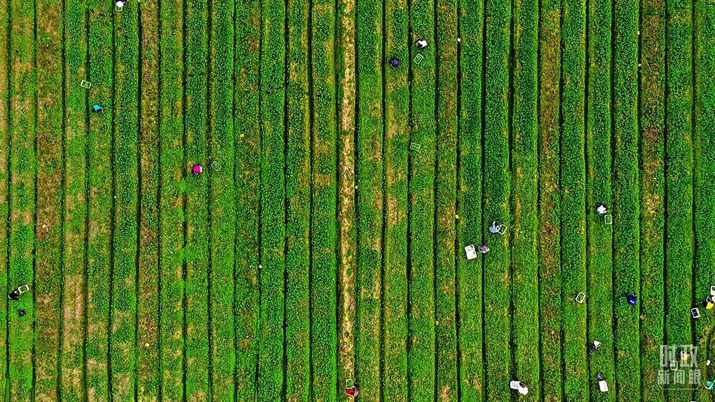 �������ݣ�Ҏ(gu��)�����r(n��ng)��־�Ȼ���������D/ҕ�X�Ї���