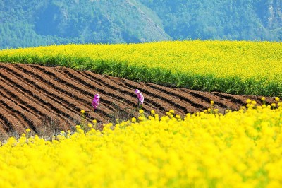 �����������l(xi��ng)�g�����