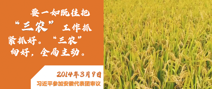 ΢ҕ�l������ġ����r(n��ng)��