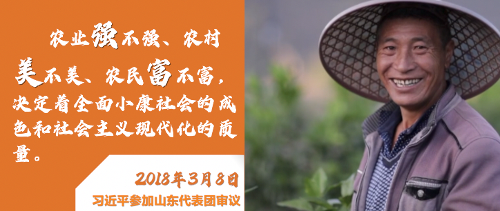 ΢ҕ�l������ġ����r(n��ng)��