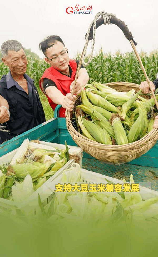 ����(d��ng)�B(t��i)����(b��o)������ȫ��Zʳ�S�����@Щ֧���������_�ˣ�