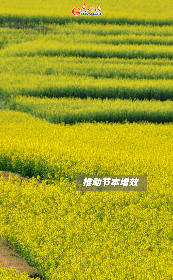 ����(d��ng)�B(t��i)����(b��o)������ȫ��Zʳ�S�����@Щ֧���������_����