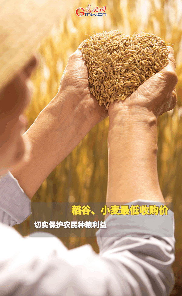 ����(d��ng)�B(t��i)����(b��o)������ȫ��Zʳ�S�գ��@Щ֧���������_����