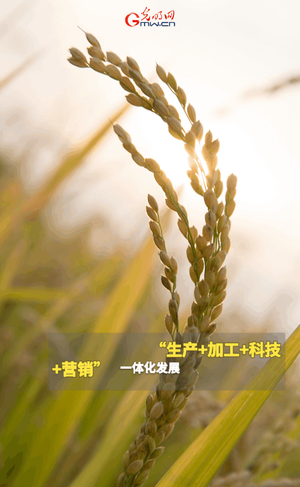 ����(d��ng)�B(t��i)����(b��o)������ȫ��Zʳ�S�����@Щ֧���������_�ˣ�