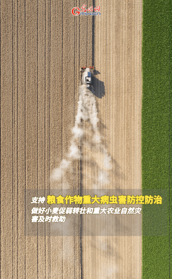 ����(d��ng)�B(t��i)����(b��o)������ȫ��Zʳ�S�����@Щ֧���������_����