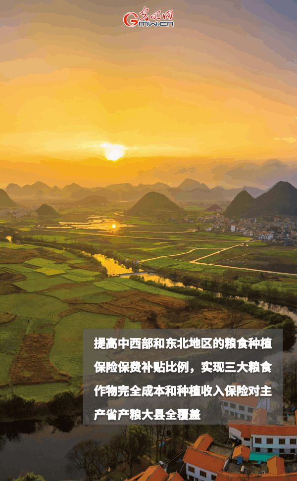 ����(d��ng)�B(t��i)����(b��o)������ȫ��Zʳ�S�գ��@Щ֧���������_����