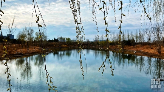 �����@��(n��i)�����䄂��������~�������_��ҕӛ�߳���Ĕz��