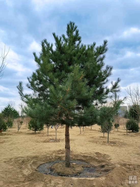 ���@�ǿ���ӛ����N�µ������������_��ҕӛ��ʯة�Ĕz��