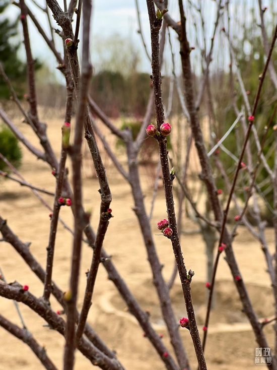  ���ذ����~÷�������_��ҕӛ�ߗ������Ĕz��