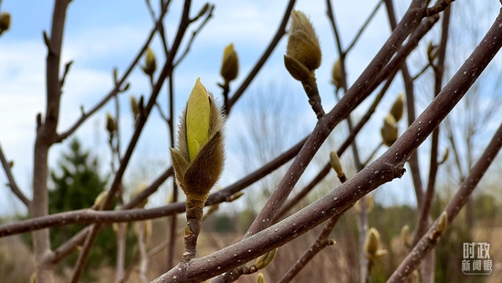 �����m�������_��ҕӛ�ߗ������Ĕz��