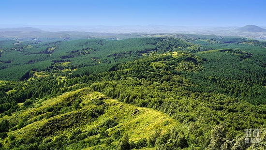 ���������ֈ��������_��Vӛ�������Ĕz��