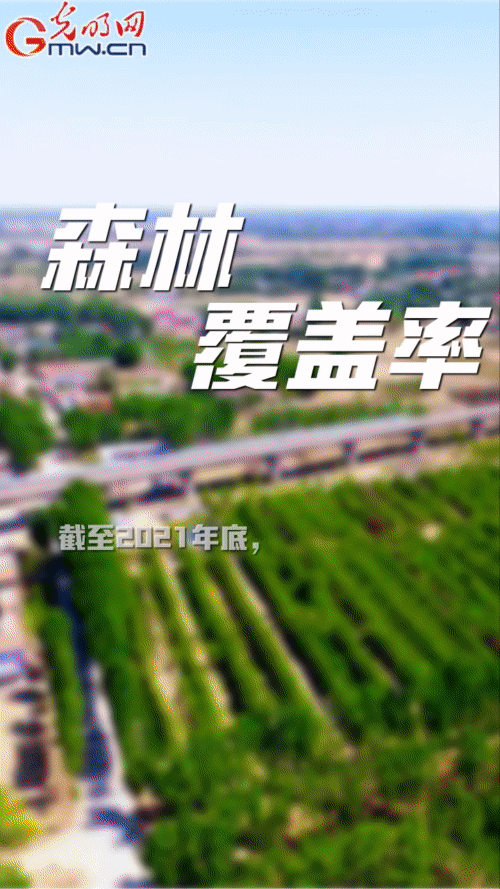 【“動(dòng)”漫海報(bào)】雄安新區(qū):五年奮進(jìn)加速蝶變 未來(lái)之城欣欣向榮