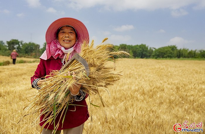 ���w���w�}(c��ng)���M�Dحϲ������ǧ���� �ֵ��ļZ�á��S����