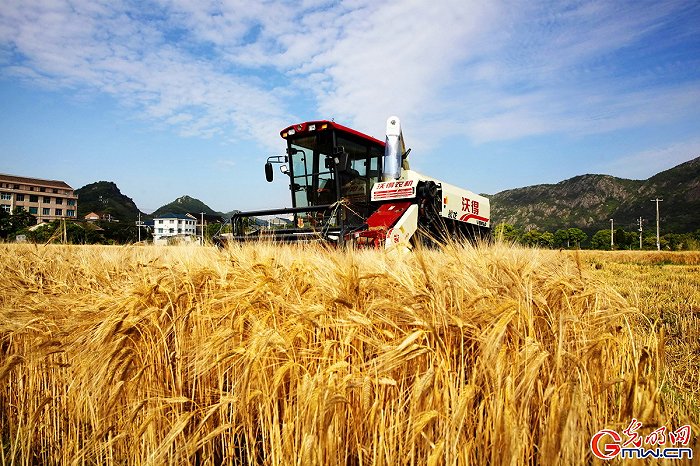 ���w���w�}(c��ng)���M�Dحϲ������ǧ���� �ֵ��ļZ�á��S����