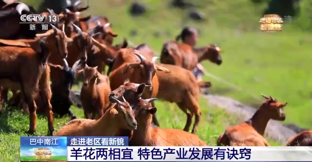 ���M(j��n)�υ^(q��)����òح׷���tɫ���E ���ܰ���r(sh��)����ò