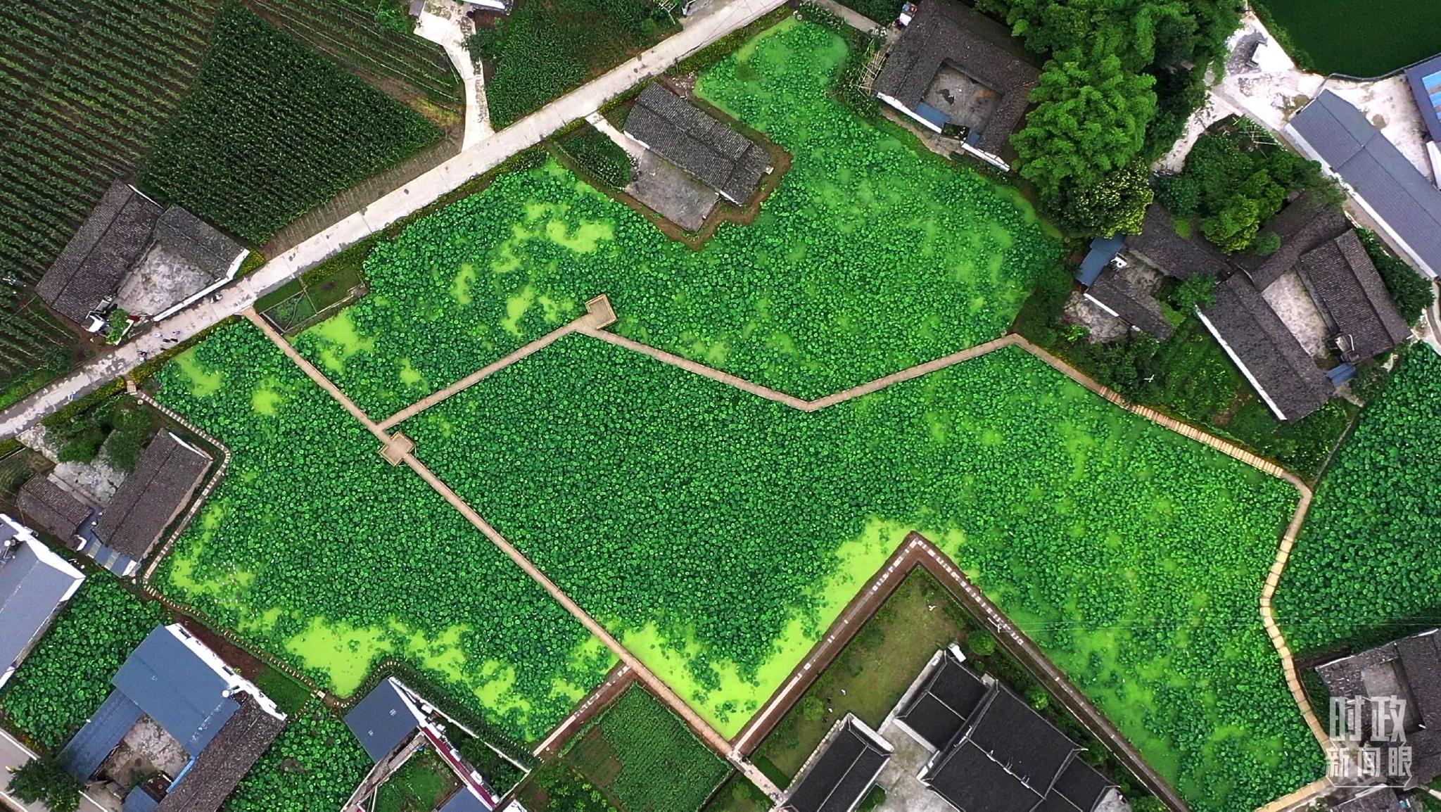 ��������S���������_(t��i)ӛ���R���Ĕz��