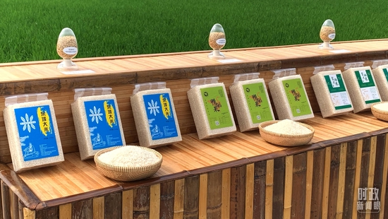  �����S����a(ch��n)�ĸ���׼��䵾�N�������_(t��i)��ҕӛ���R���Ĕz��