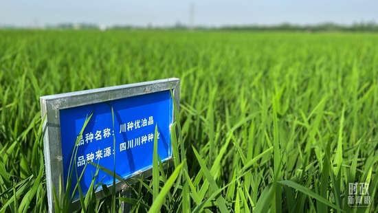  �����S���(n��i)��ԇ�(y��n)���������_(t��i)��ҕӛ���ϱ��Ĕz��