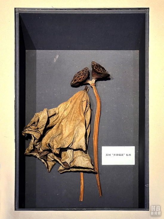 �����K���(n��i)�����ֵ�ͬ�ĵġ�������ɏ���������_(t��i)��ҕӛ�ߗ������Ĕz��