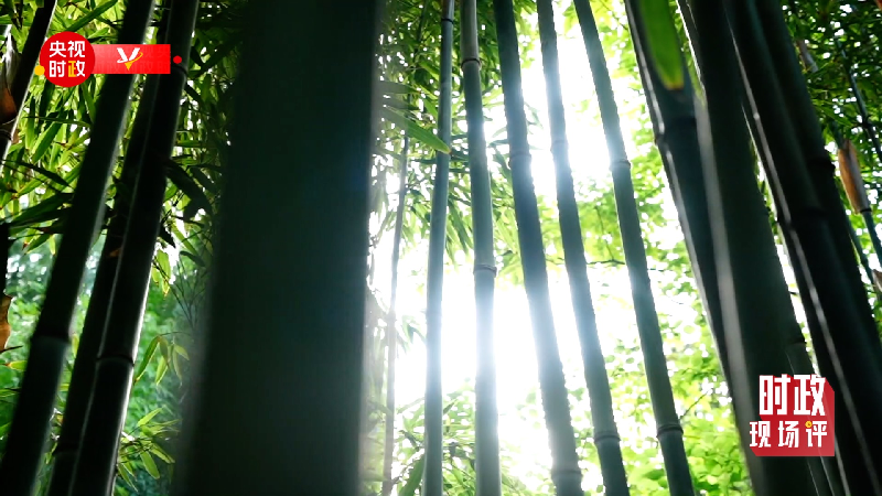 �r���F(xi��n)���uح���S����ӛ���_�� �����K���I�Ԗ|���Ļ��Ěv�Ï���