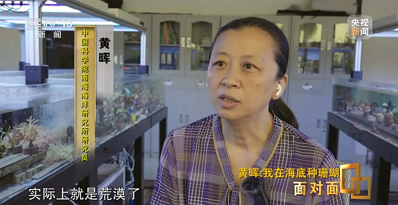面對面丨“珊瑚媽媽”黃暉:種出一片“海底森林”