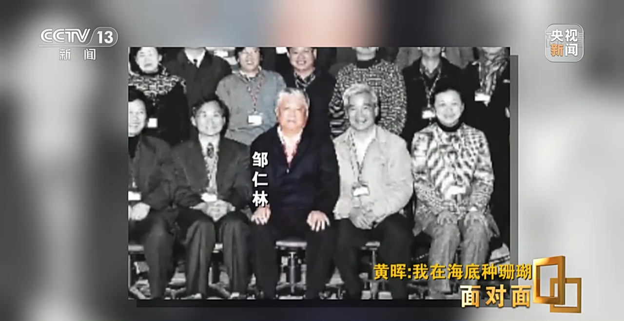 面對面丨“珊瑚媽媽”黃暉:種出一片“海底森林”